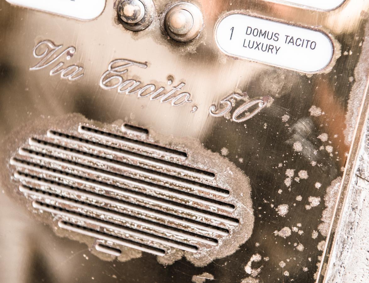 مبيت وإفطار روما Domus Tacito Luxury المظهر الخارجي الصورة